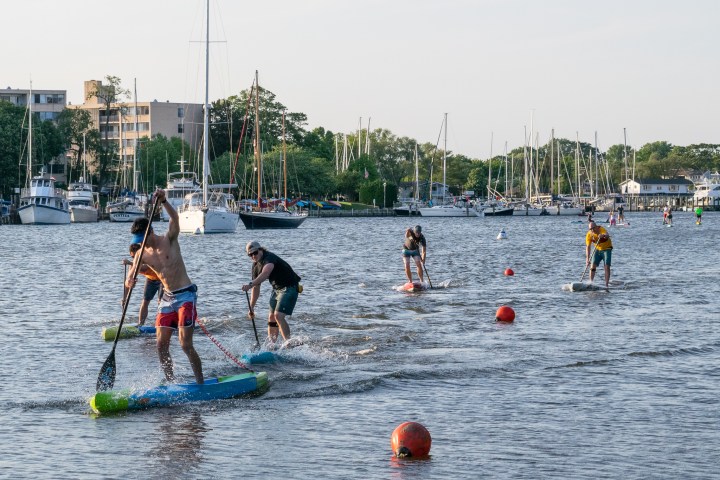 SUP race training