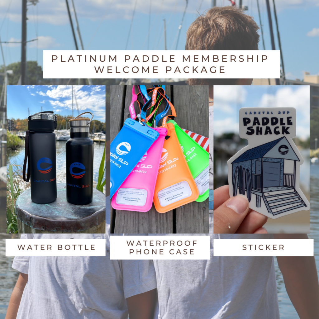 graphical user interface, website