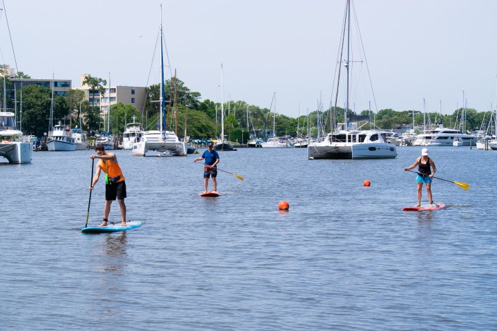 SUP Lessons in Annapolis, MD