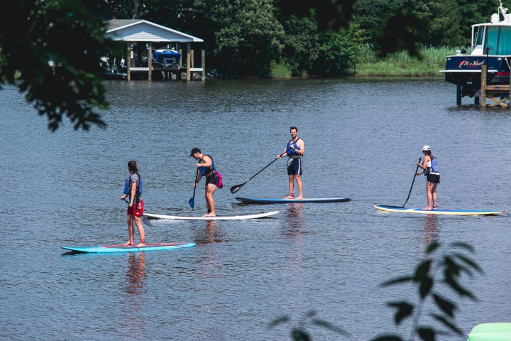 SUP Rentals at Quiet Waters Park