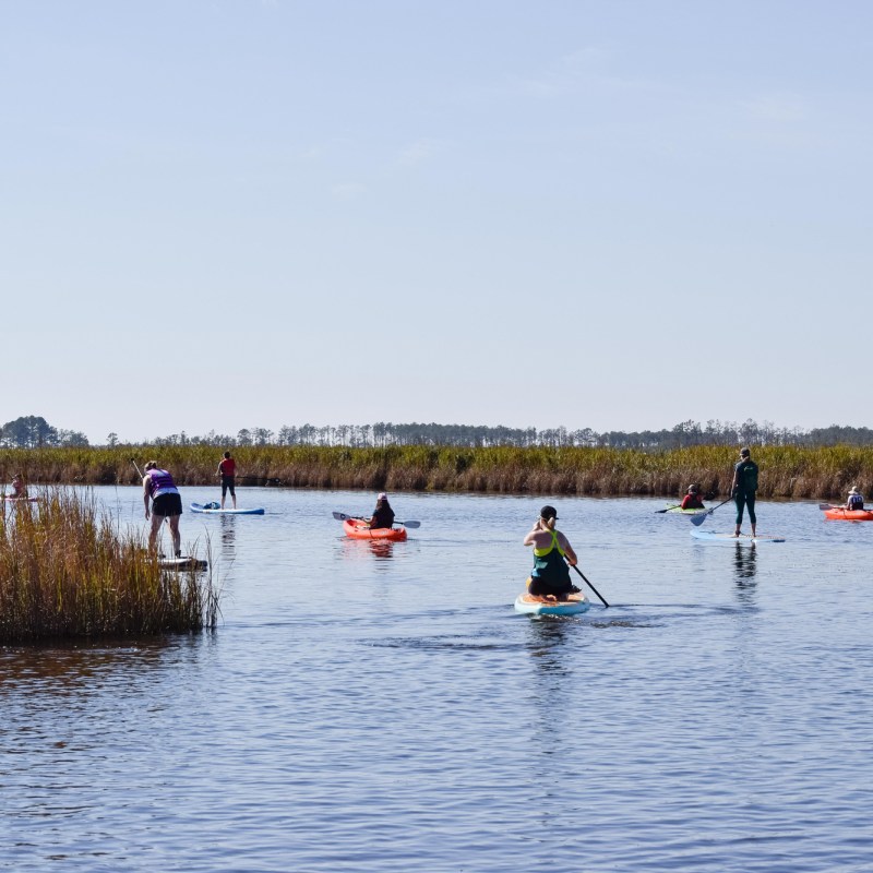 paddling in blackwater