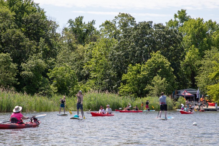 Capital SUP kayak & SUP rentals