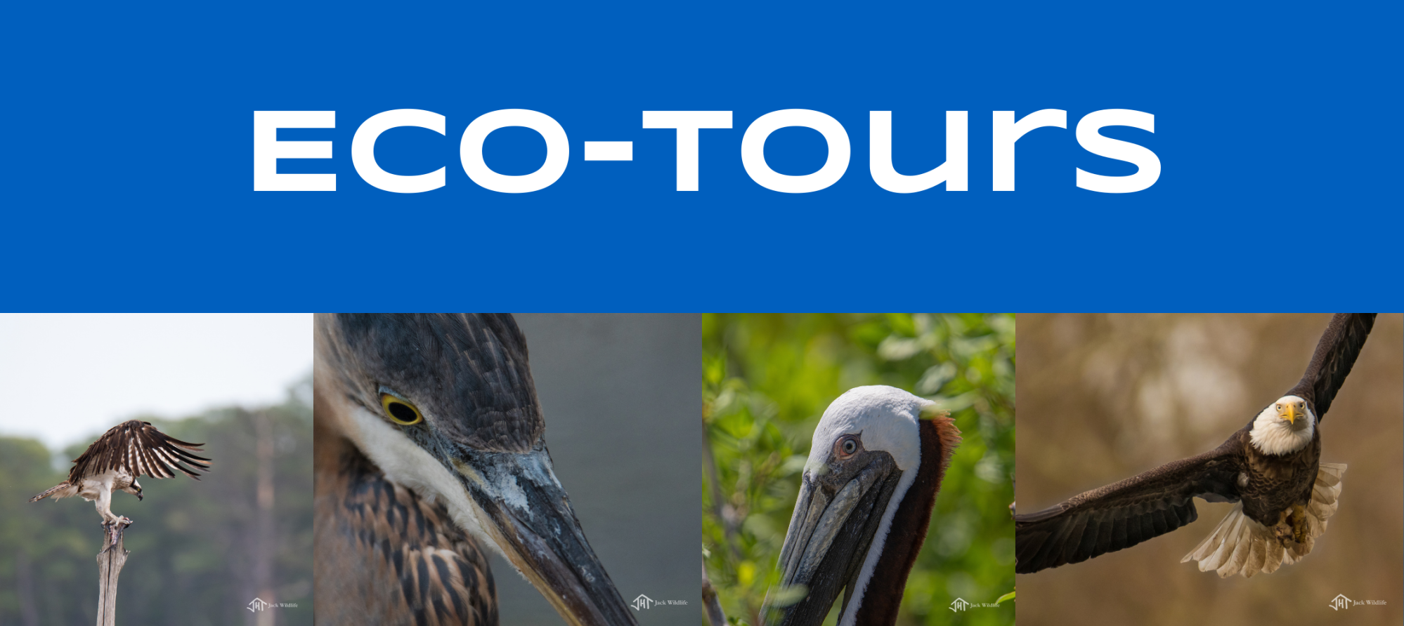 Eco-Tours eco-tours