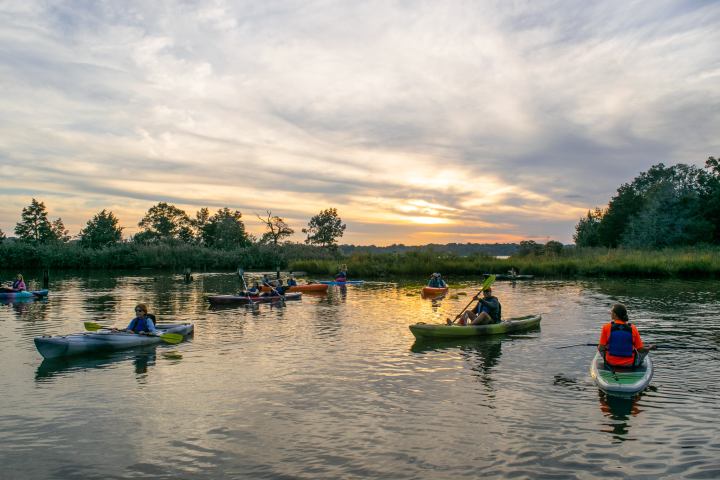 a group of people rowing a boat floating on a body of water