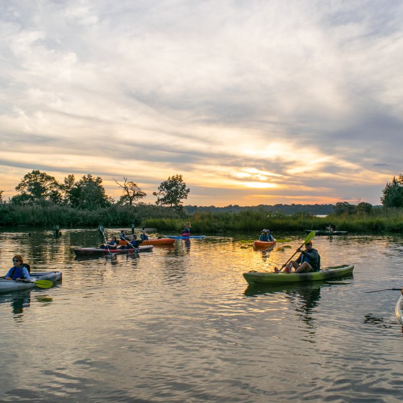 a group of people rowing a boat floating on a body of water