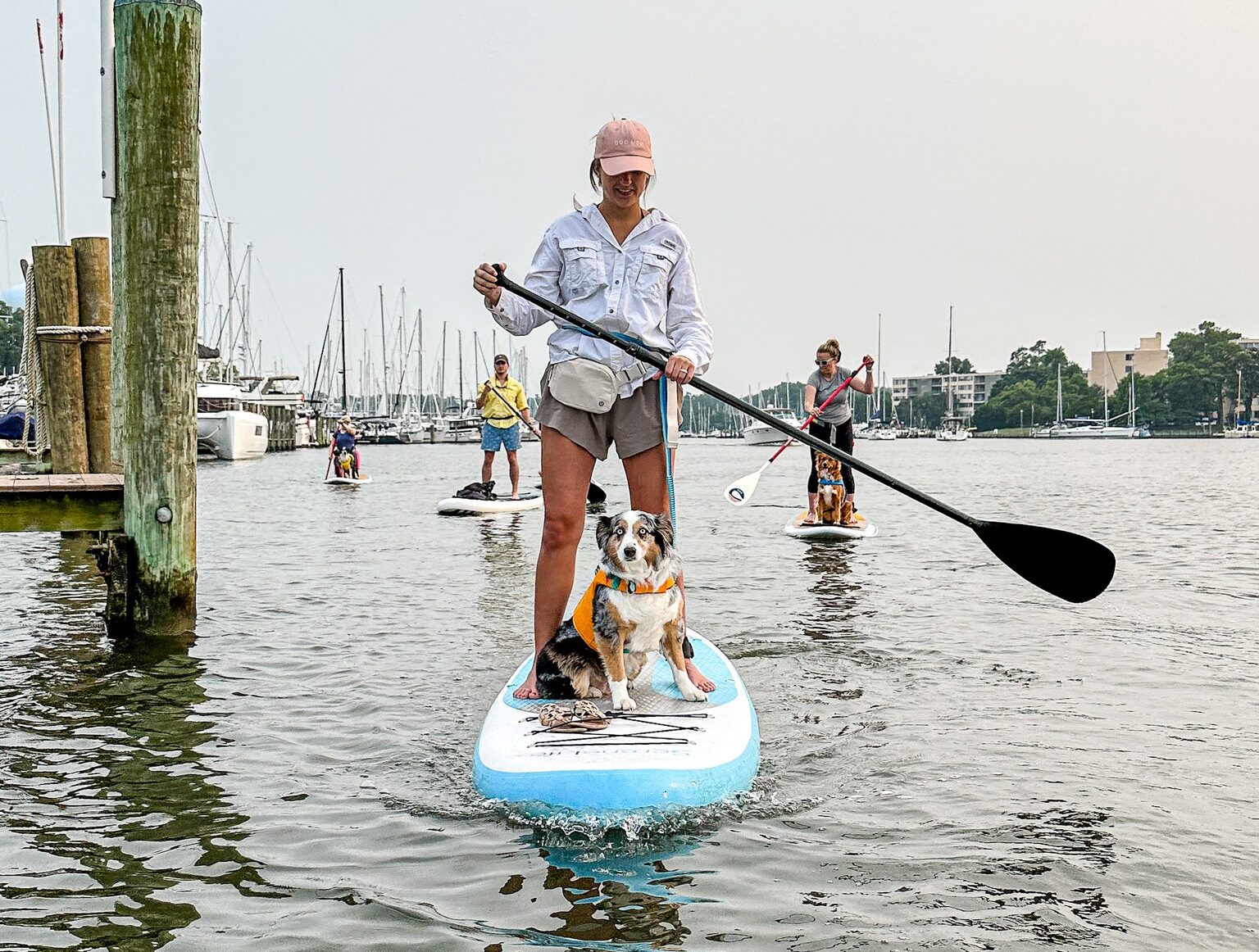 sup pup a man riding on the back of a boat in the water