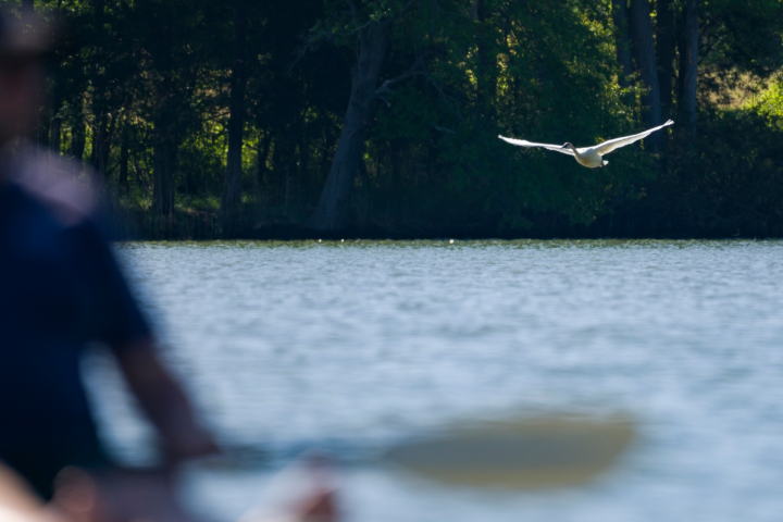 a group of people on a boat in the water