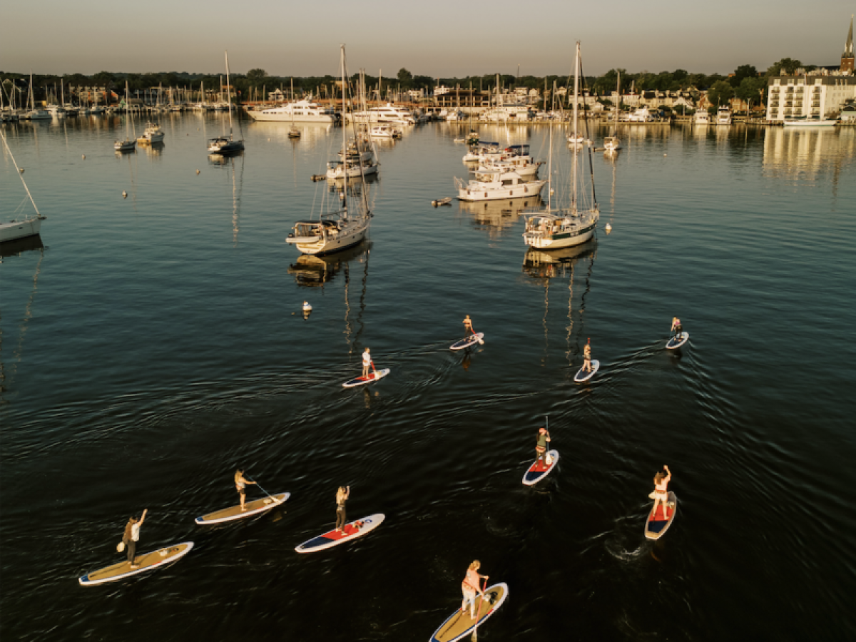 a flock of seagulls next to a body of water