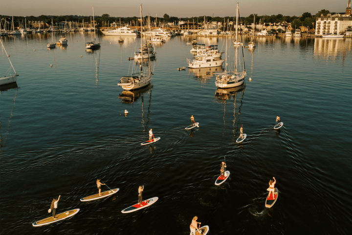 a flock of seagulls next to a body of water