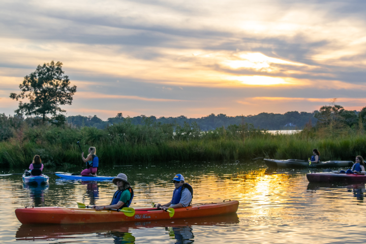 Sunset paddle from Quiet Waters Park in kayaks and paddle boards
