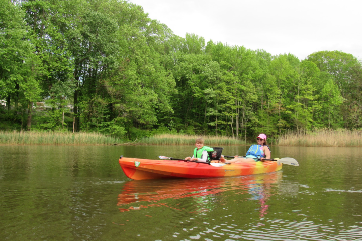 a person riding on the back of a boat next to a lake