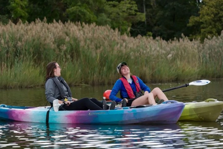 a group of people riding on the back of a boat