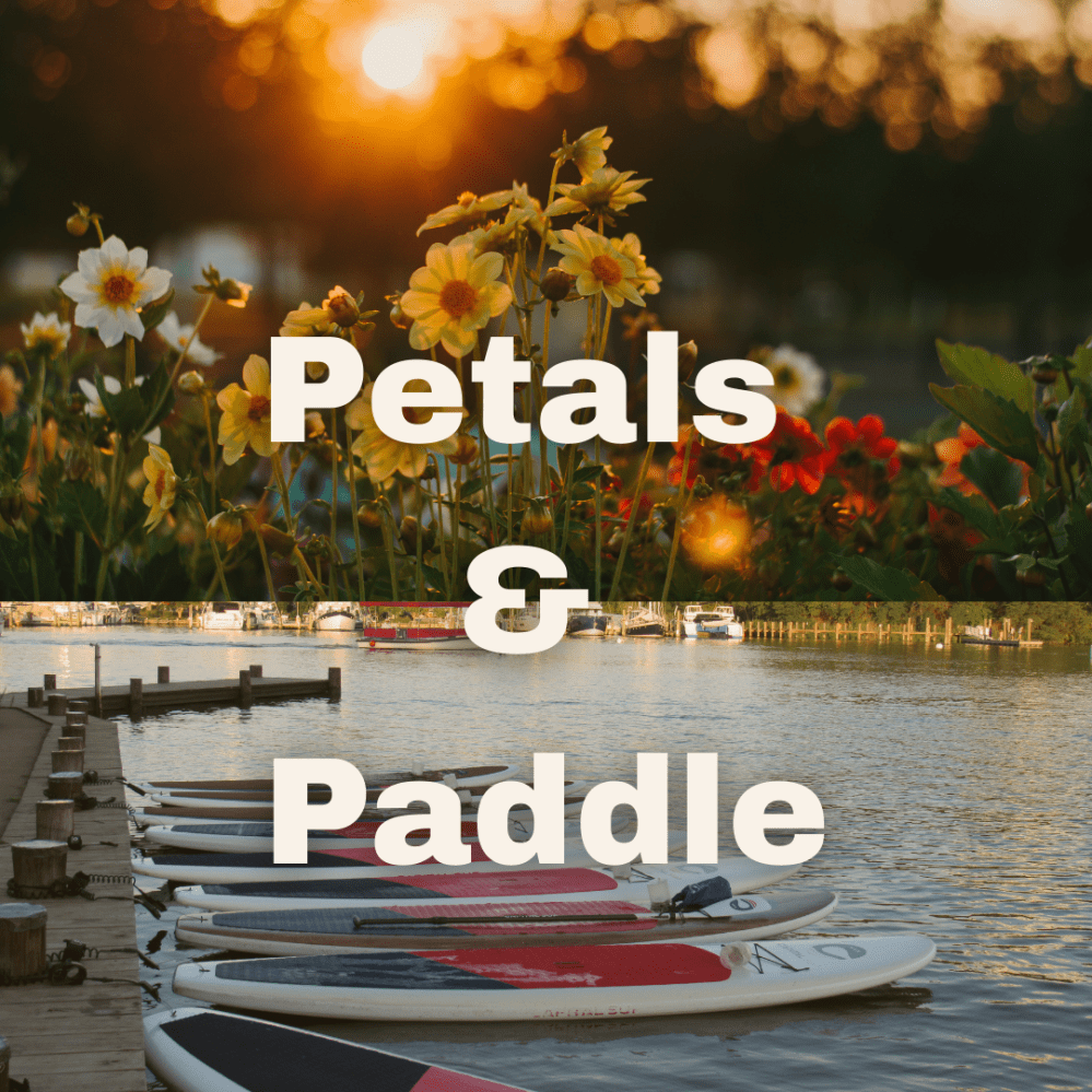 Split image with flowers and paddleboards, text 'Petals & Paddle' overlaid on top.