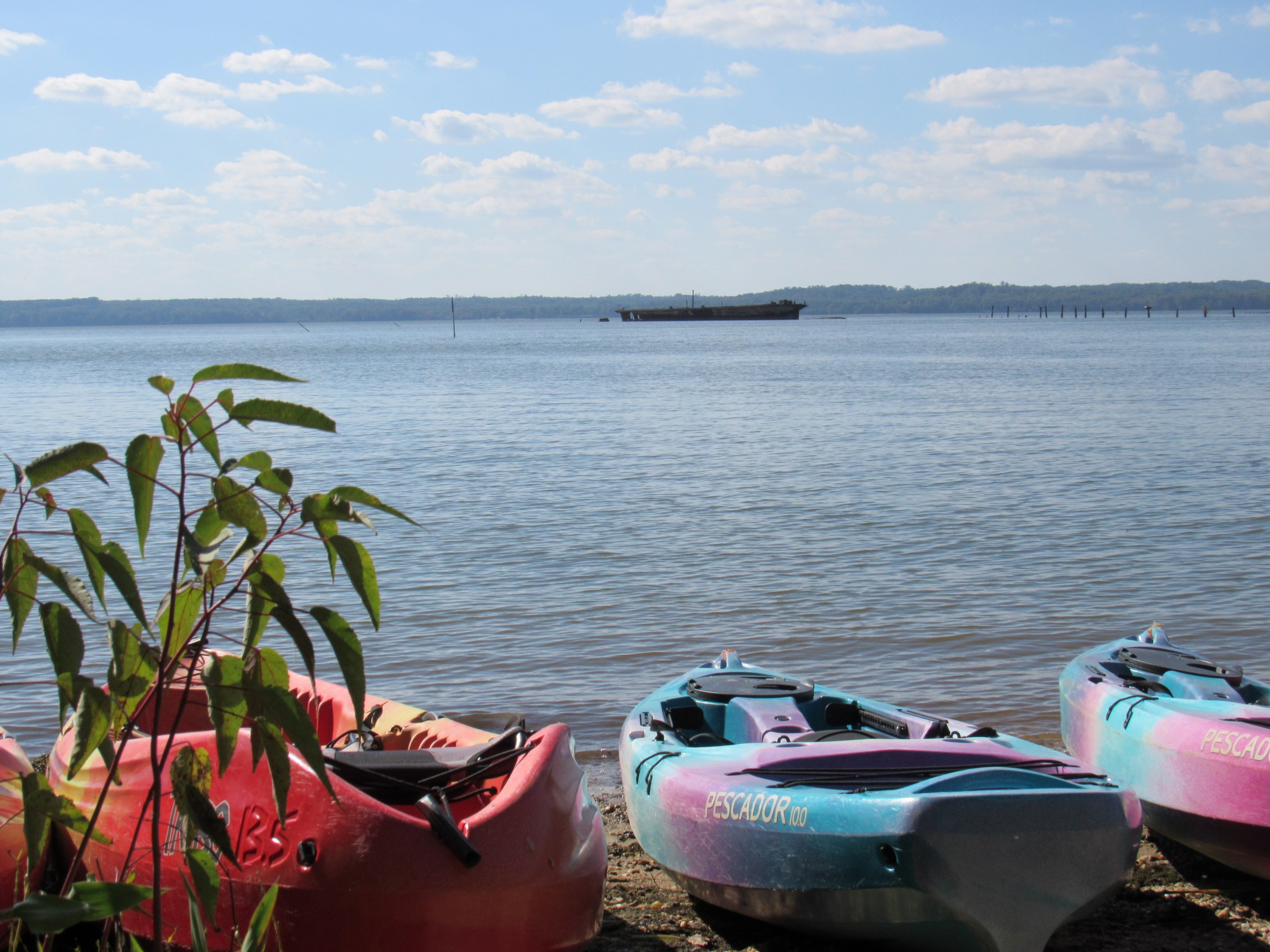 Colorful kayaks on a beach with a ship in the background on a sunny day.
