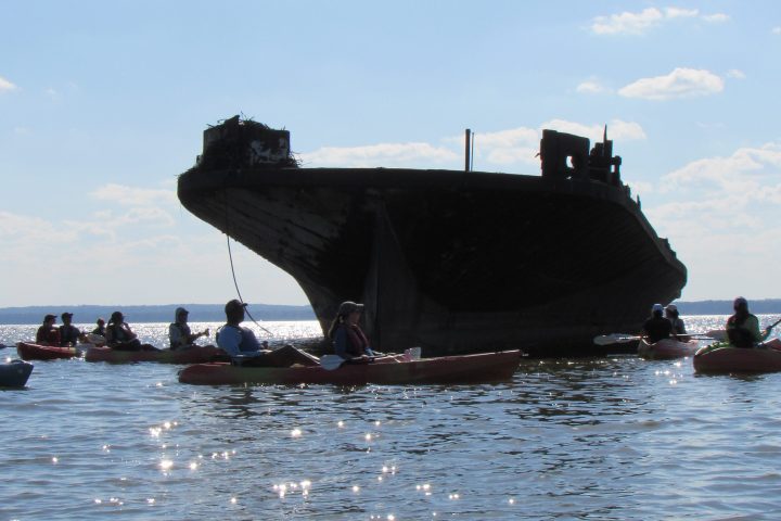 Kayakers surround a large, old shipwreck silhouette against a blue sky.