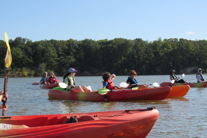 Group of people kayaking on a lake with trees in the background under a clear blue sky.