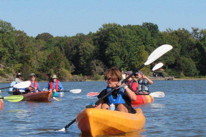 Group kayaking on a lake with trees in the background under a clear blue sky.