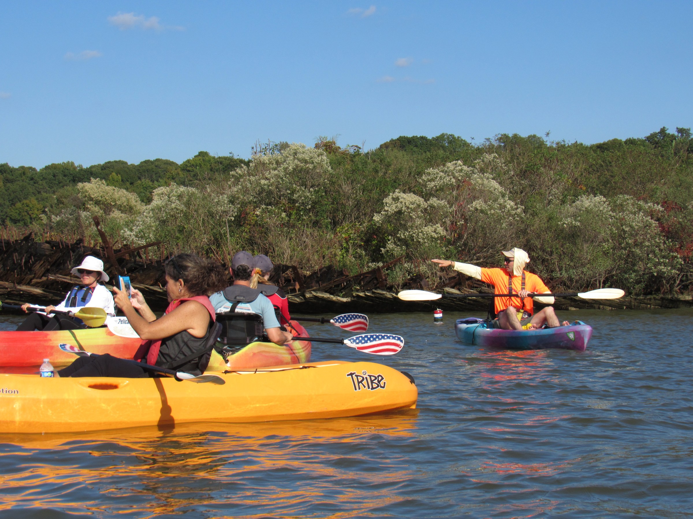 Group of kayakers on calm water near a wooded shore, one person pointing towards the bank.