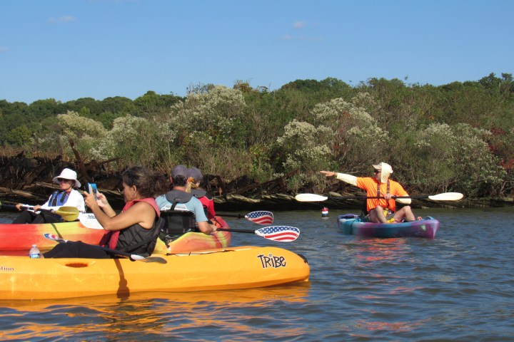 Group of kayakers on calm water near a wooded shore, one person pointing towards the bank.