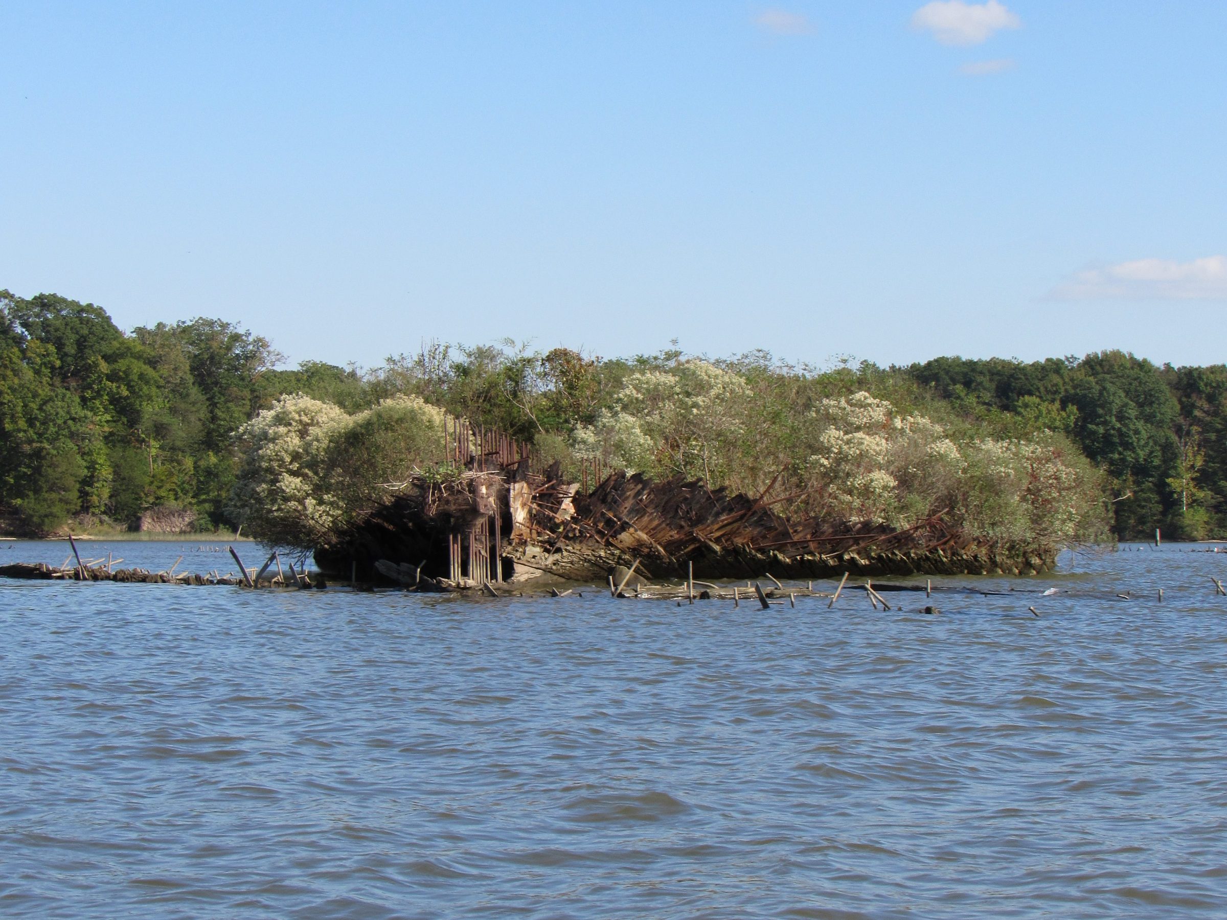 Partially sunken ship with plants growing on it in a body of water.