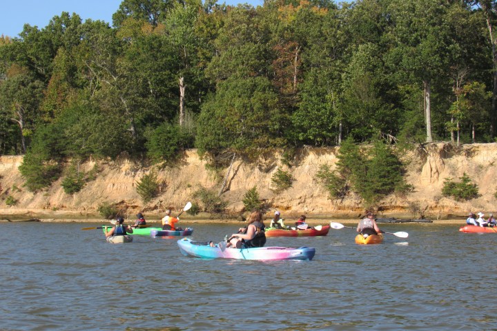 People kayaking on a lake near a forested shoreline under clear skies.