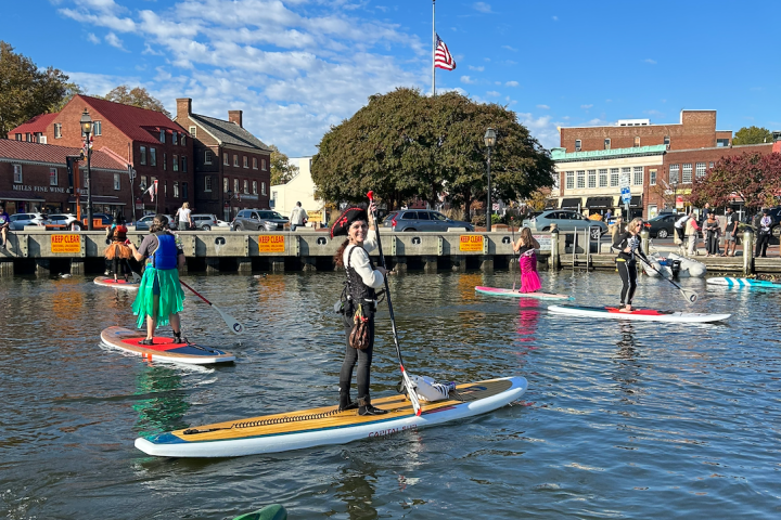 People dressed in costumes paddleboarding on a sunny day near a dock with buildings and trees in the background.