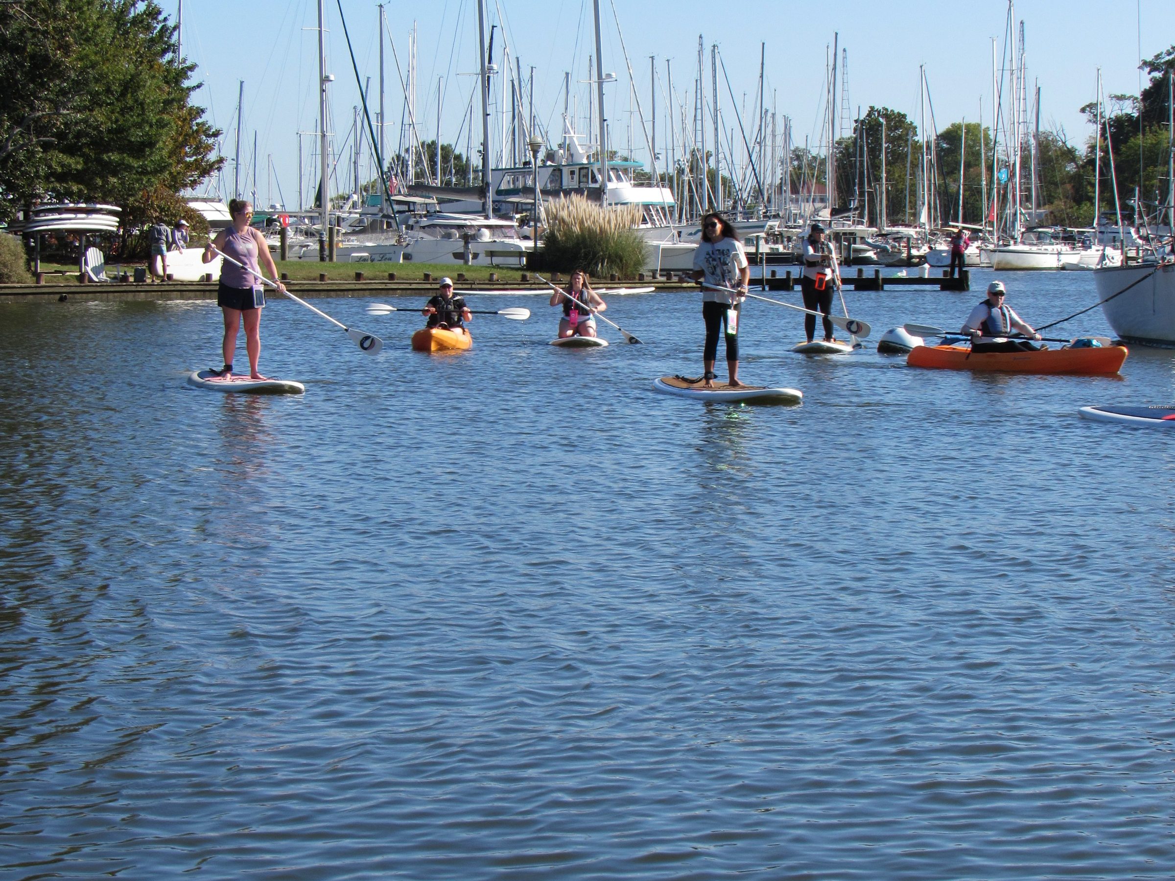 People paddleboarding and kayaking on a calm marina with sailboats in the background.
