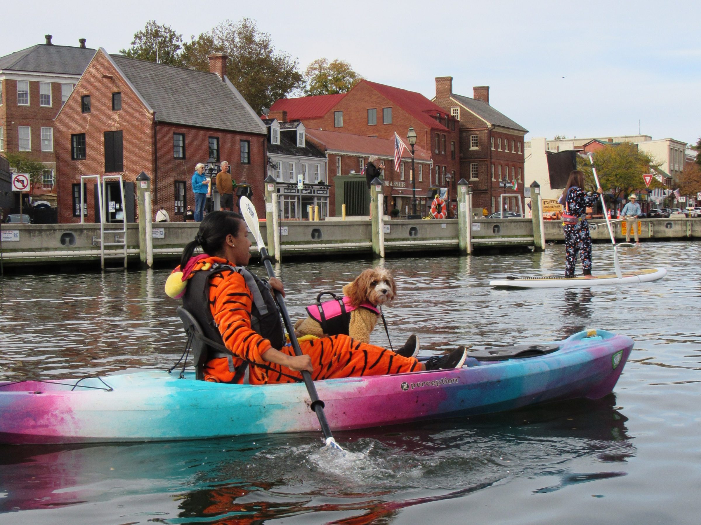 Person in tiger costume kayaks with a dog in a life vest on a colorful kayak in a harbor.