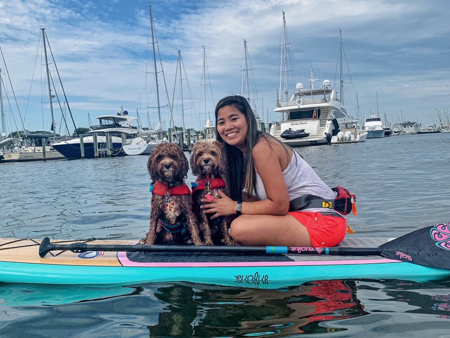 Woman with two small dogs on a paddleboard in a marina.