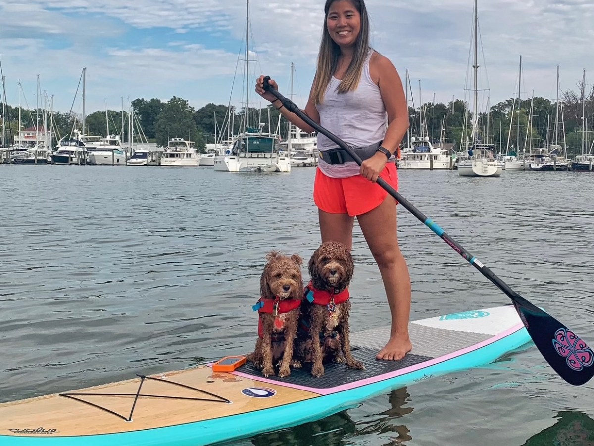 Woman paddleboarding with two dogs on a lake with sailboats in the background.