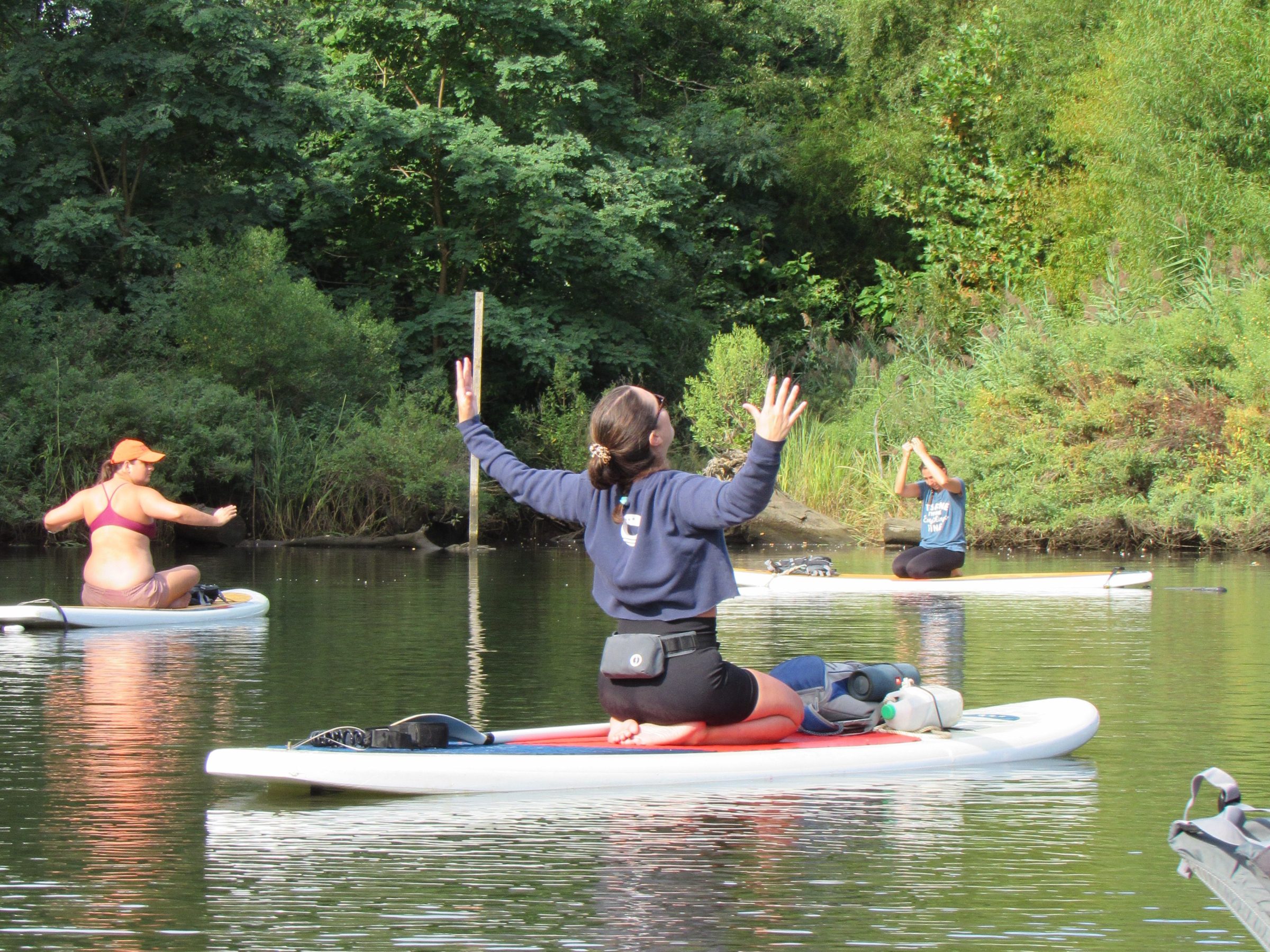People doing yoga on paddleboards in a calm river surrounded by lush greenery.