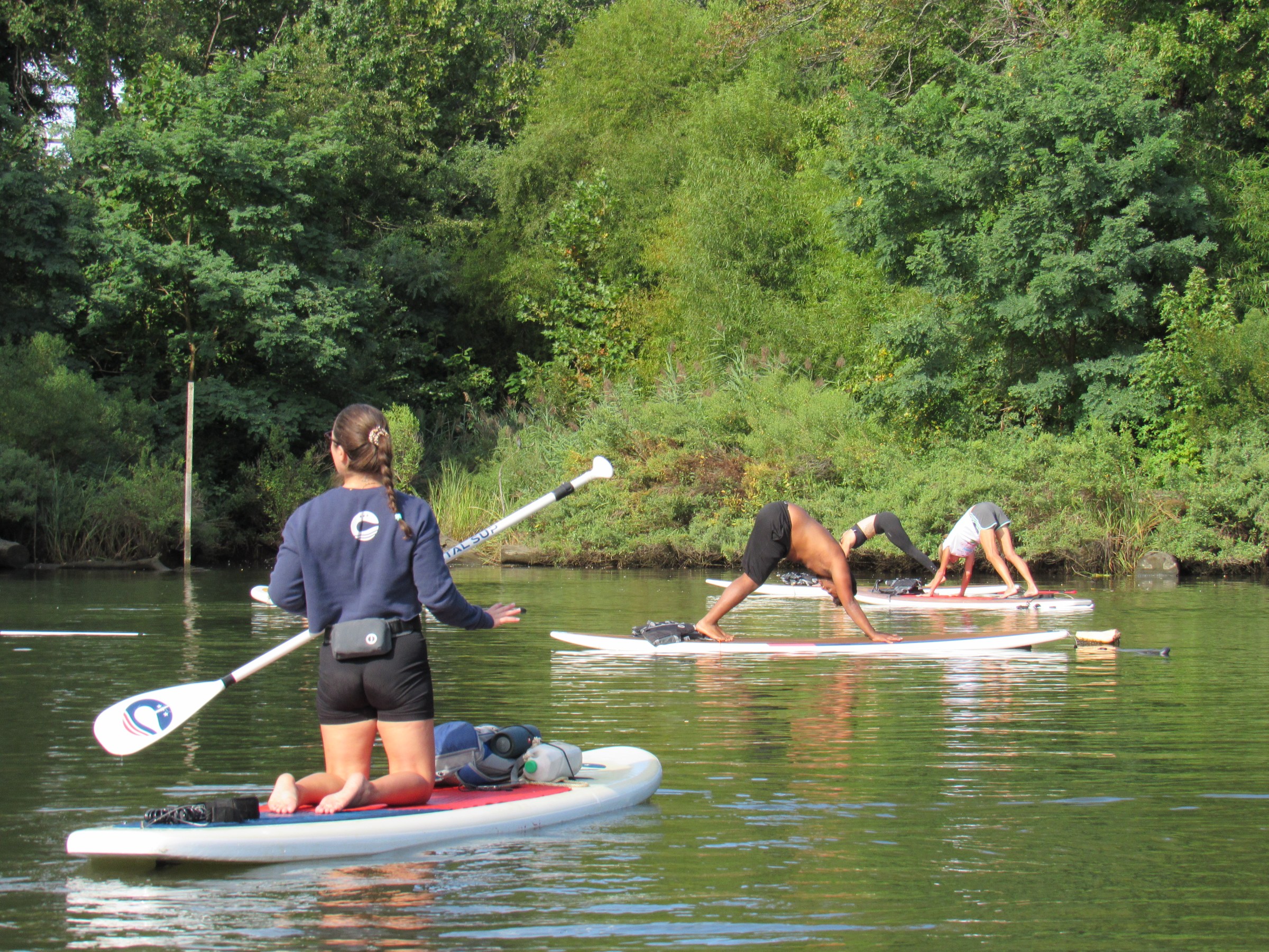 People doing yoga on paddle boards in a calm, green-watered area near trees.