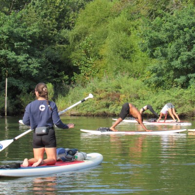 People doing yoga on paddle boards in a calm, green-watered area near trees.