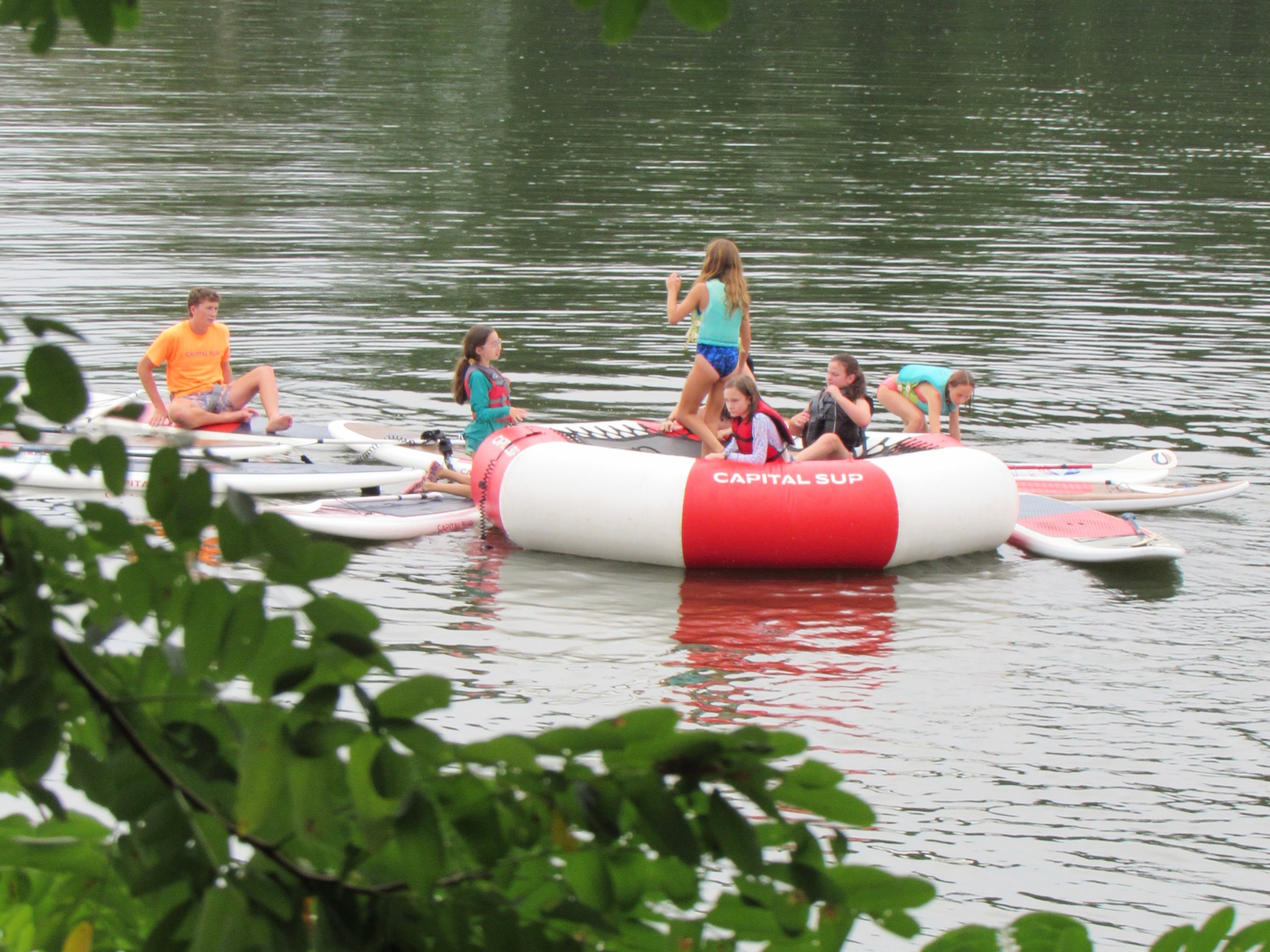 Group of people on paddleboards and inflatable on a lake, with leaves in foreground.