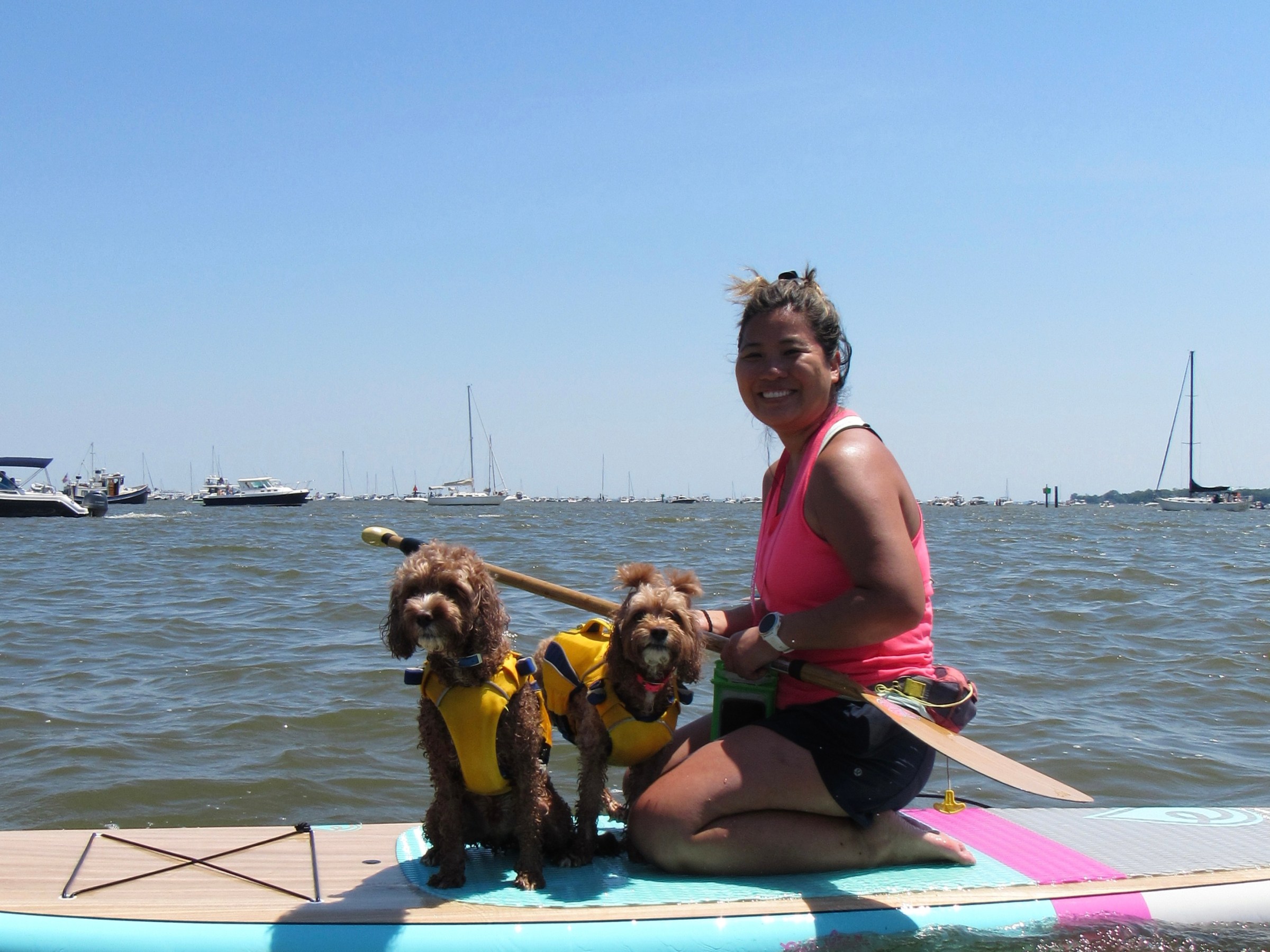 Woman paddleboarding with two dogs in life jackets on a sunny day.