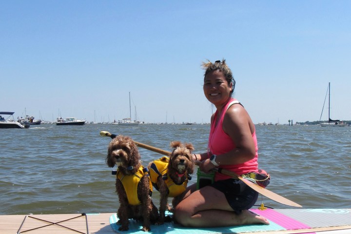 Woman paddleboarding with two dogs in life jackets on a sunny day.