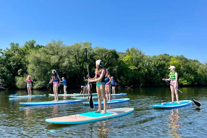 Group of people paddleboarding on a calm river with trees in the background.