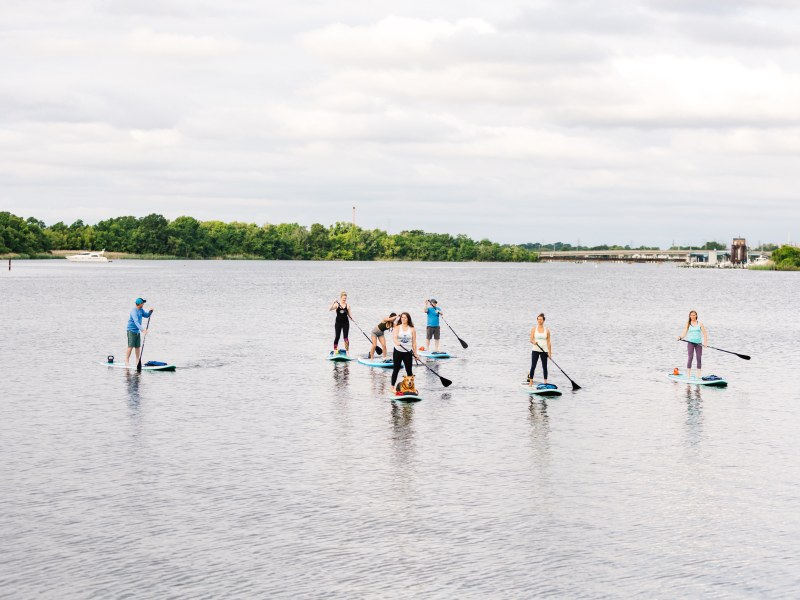Group of people paddleboarding on a calm lake under a cloudy sky.