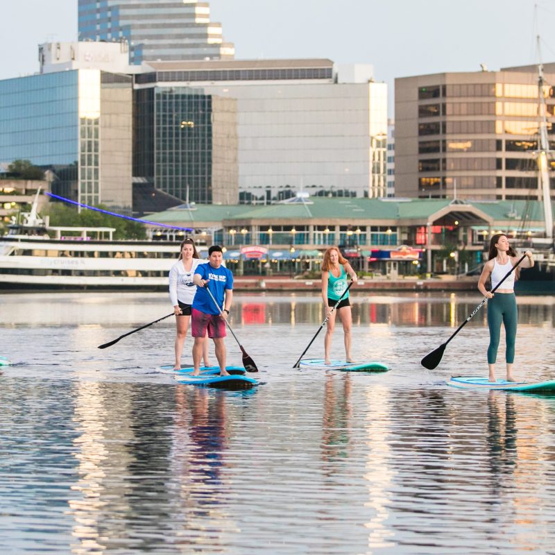 Group paddleboarding on a calm city waterfront with tall buildings in the background.