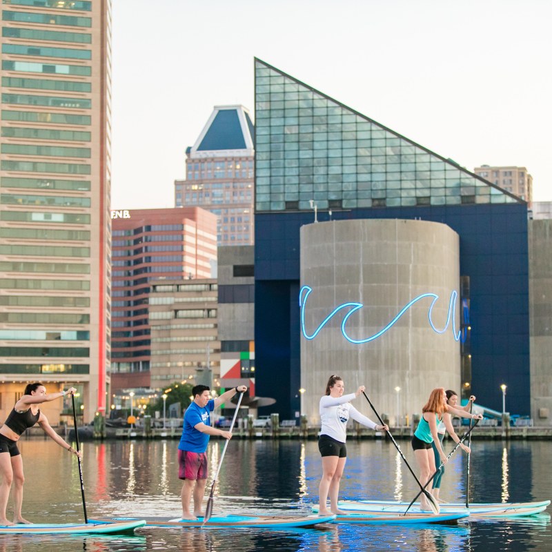 Four people paddleboarding on a calm urban waterway with modern buildings in the background.