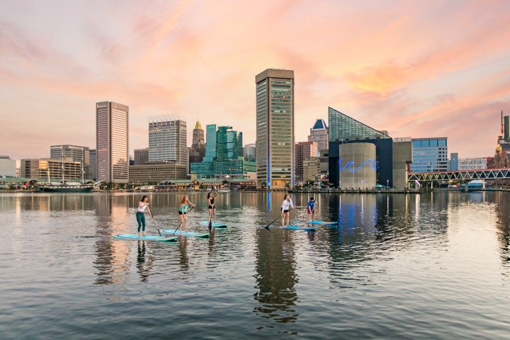 People paddleboarding on calm water with a city skyline at sunset.