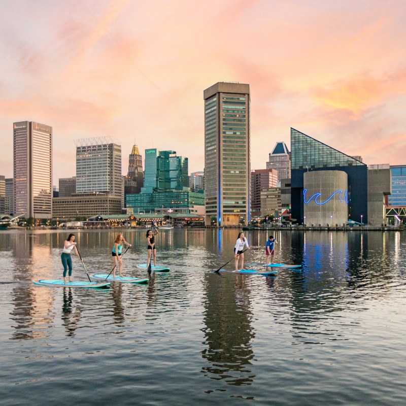People paddleboarding on calm water with a city skyline at sunset.