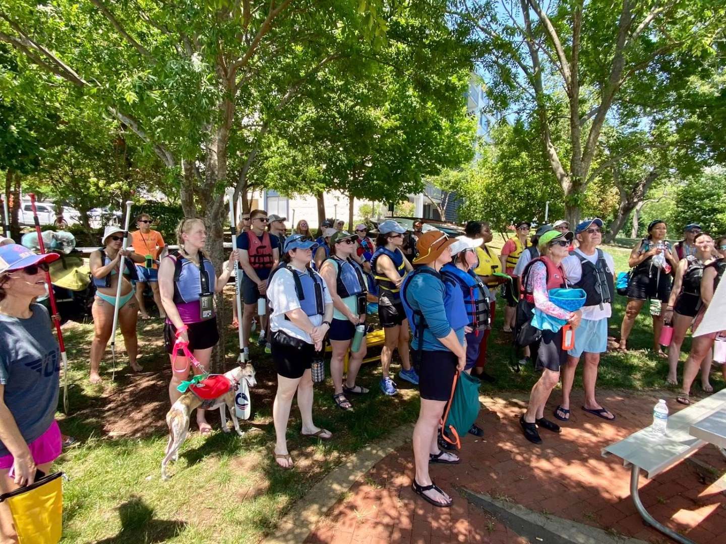 Group of people gathered outdoors under trees, many wearing backpacks, with sunny weather.