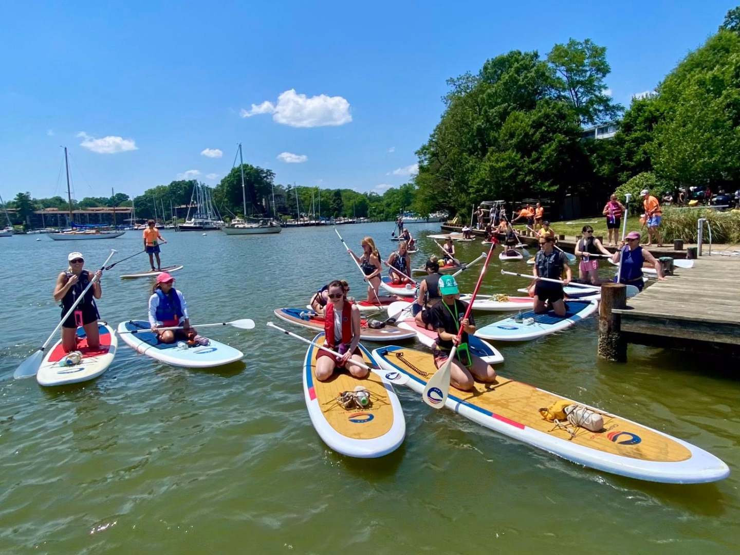 Group of people paddleboarding on a sunny lake near a dock.