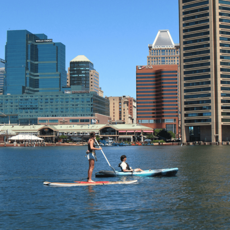 People paddleboarding and kayaking in a city harbor.