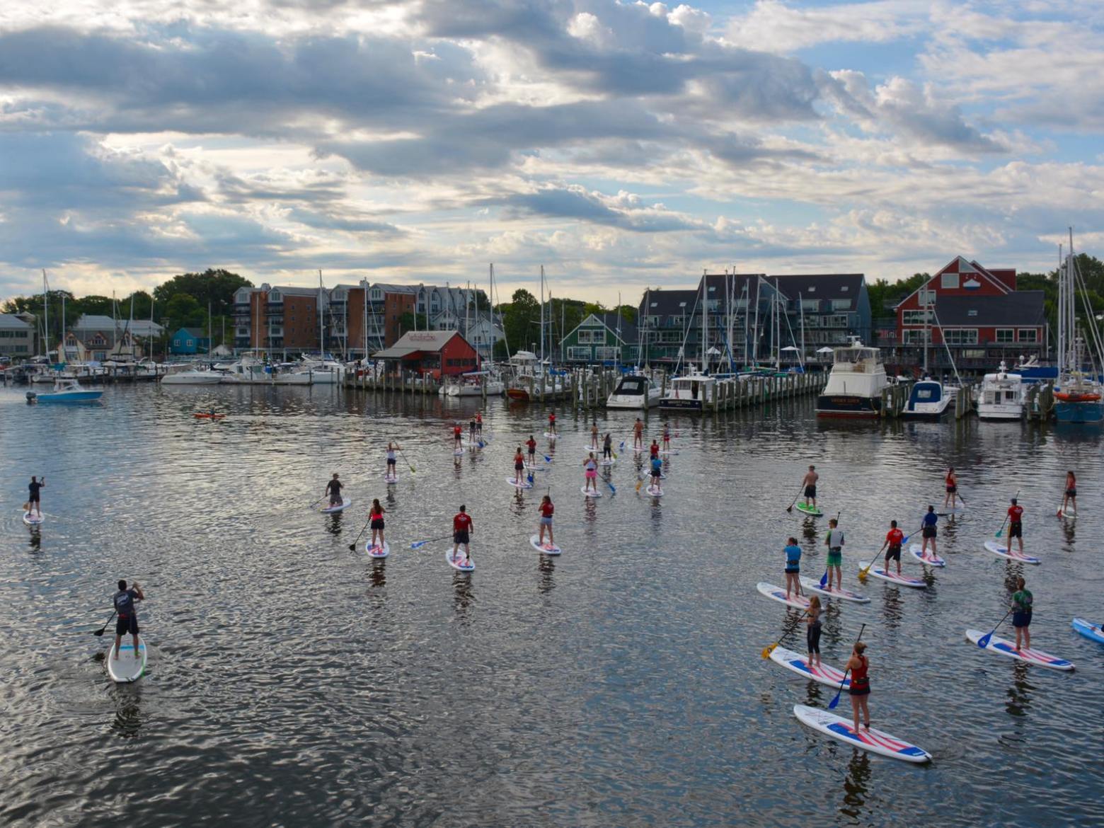 Group of people paddleboarding on a calm harbor with boats and buildings in the background.
