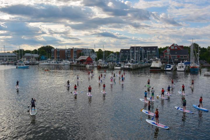 Group of people paddleboarding on a calm harbor with boats and buildings in the background.
