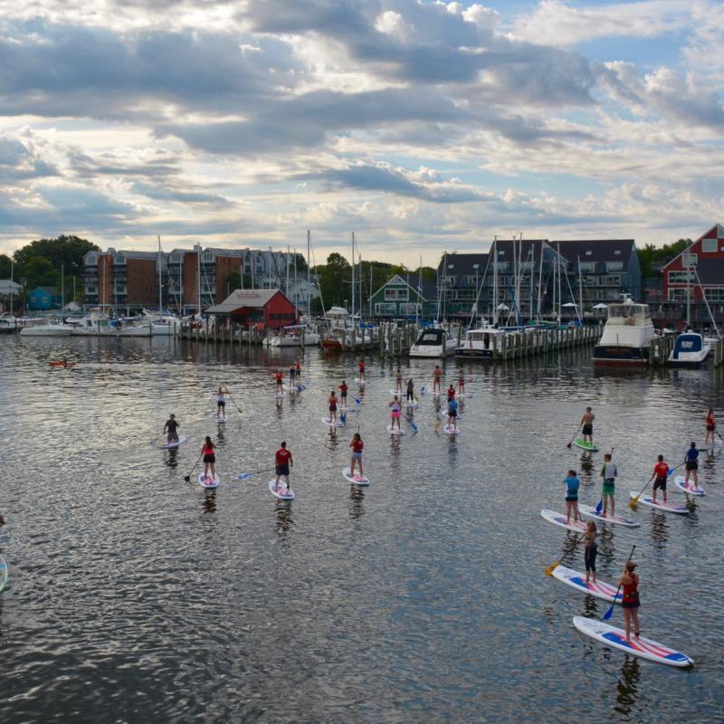 Group of people paddleboarding on a calm harbor with boats and buildings in the background.