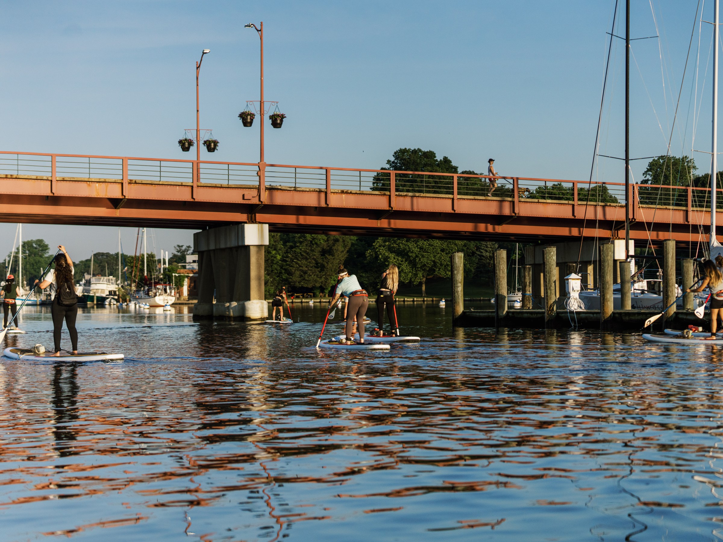 People stand-up paddleboarding on a river near a bridge, under a clear sky.