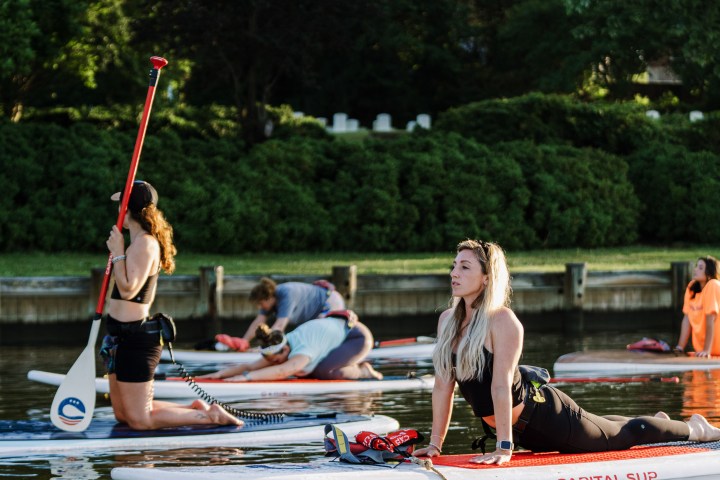 People doing yoga on paddleboards on a calm lake with surrounding trees.